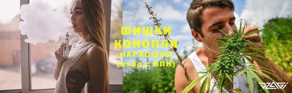 гидра Верхний Тагил