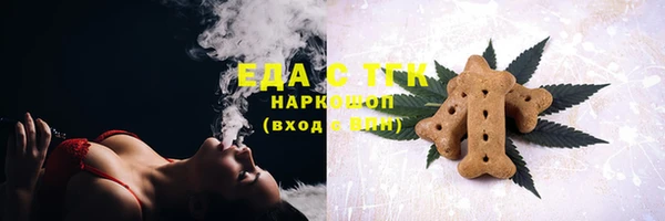гидра Верхний Тагил