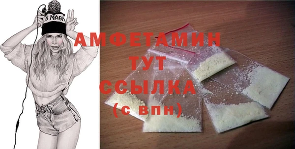 гидра Верхний Тагил