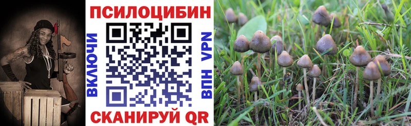 как найти закладки  Лыткарино  Псилоцибиновые грибы ЛСД 