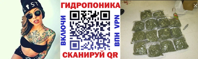 МАРИХУАНА OG Kush  Лыткарино 